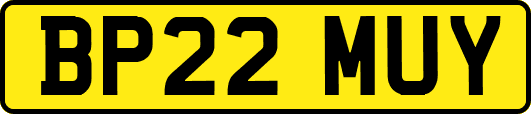 BP22MUY