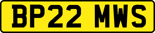 BP22MWS
