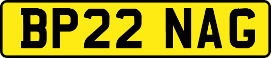 BP22NAG