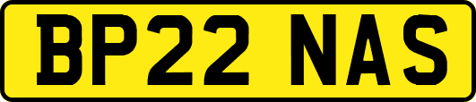 BP22NAS