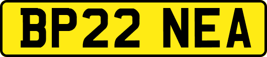 BP22NEA