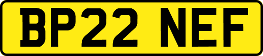 BP22NEF