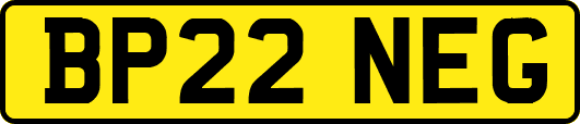 BP22NEG
