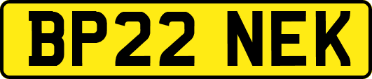 BP22NEK