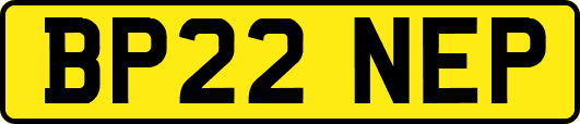 BP22NEP