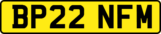 BP22NFM