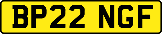 BP22NGF