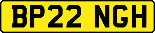 BP22NGH