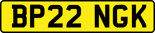 BP22NGK
