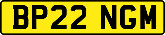 BP22NGM