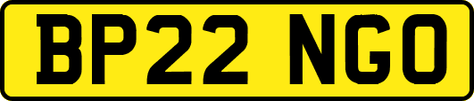 BP22NGO