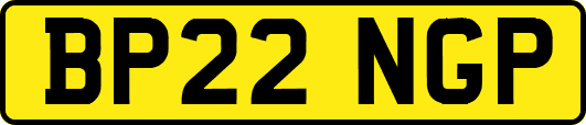 BP22NGP