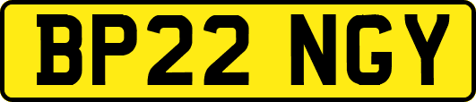 BP22NGY
