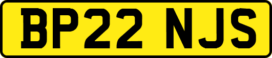 BP22NJS