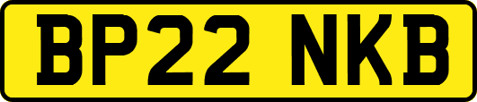 BP22NKB