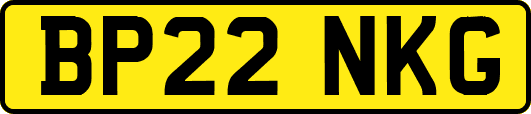 BP22NKG