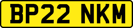 BP22NKM
