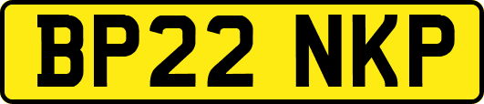 BP22NKP