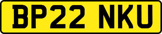 BP22NKU