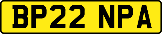 BP22NPA