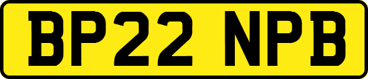 BP22NPB