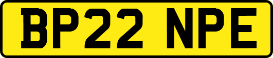 BP22NPE