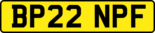 BP22NPF