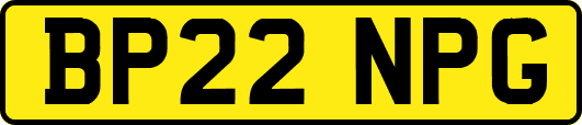 BP22NPG
