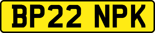 BP22NPK