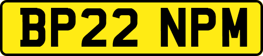 BP22NPM