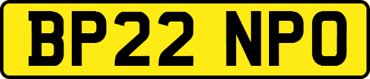 BP22NPO