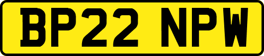 BP22NPW