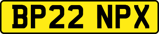 BP22NPX