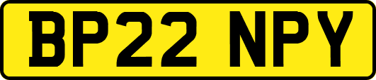 BP22NPY