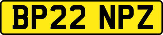 BP22NPZ