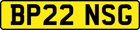 BP22NSG