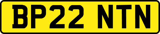 BP22NTN