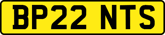 BP22NTS