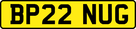 BP22NUG