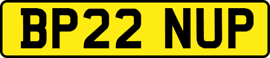 BP22NUP