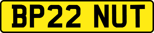 BP22NUT