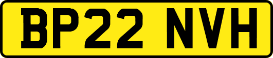 BP22NVH
