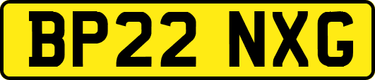 BP22NXG