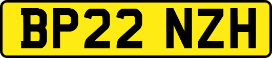 BP22NZH