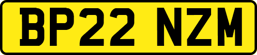 BP22NZM
