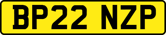 BP22NZP