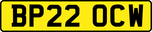 BP22OCW