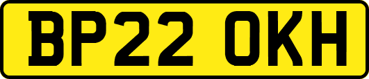 BP22OKH