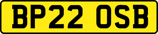BP22OSB
