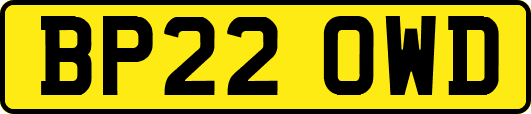 BP22OWD